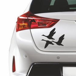 Αυτοκόλλητο αυτοκινήτου - Πάπιες