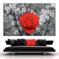 Κόκκινο - Μαύρο (8)