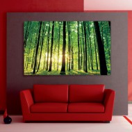 Πίνακας σε καμβά - Πυκνό δάσος
