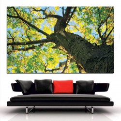 Πίνακας σε καμβά - Κορμός δέντρου