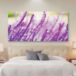 Πίνακας σε καμβά - Λεβάντα