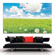 Πίνακας σε καμβά - Μαργαρίτες