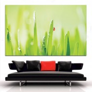 Πίνακας σε καμβά - Πασχαλίτσα