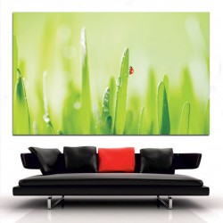 Πίνακας σε καμβά - Πασχαλίτσα