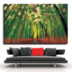 Πίνακας - Μονοπάτι στο δάσος