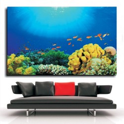 Πίνακας - Βυθός