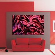 Πίνακας σε Καμβά - Πορφυρά Φύλλα