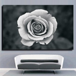 Πίνακας σε Καμβά - Ασπρόμαυρο Άνθος