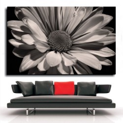 Πίνακας σε Καμβά - Ασπρόμαυρος Ιλίανθος