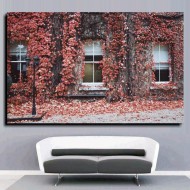 Πίνακας σε Καμβά - Κόκκινος Κισσός